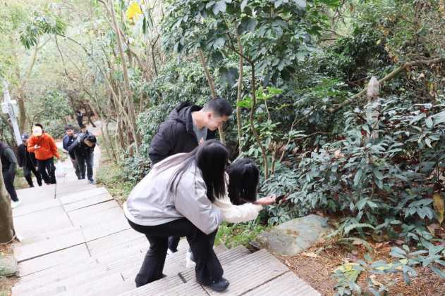 图片 4.png 图片 4.png