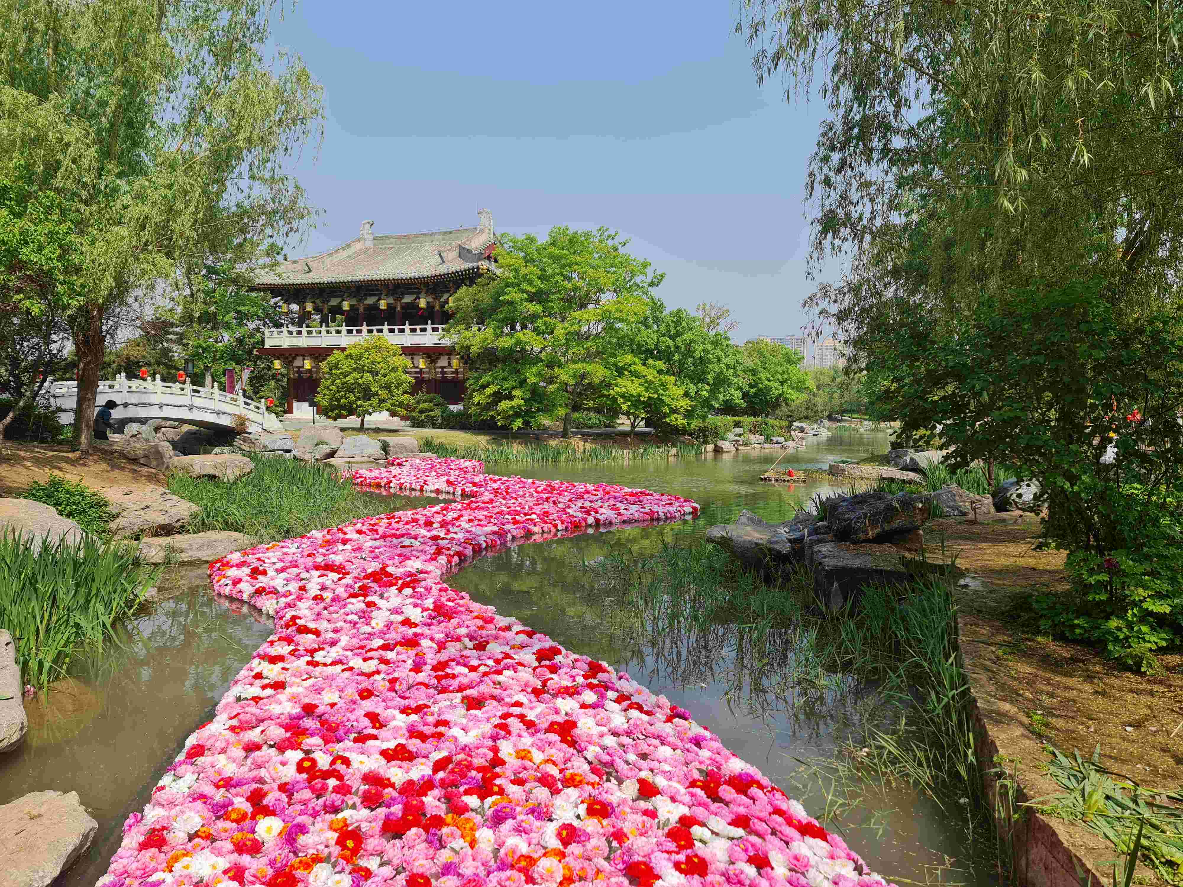 照片原图2.jpg 照片原图2.jpg